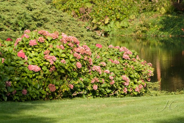 0050Arboretum Vallee aux loups.jpg - SONY DSC
